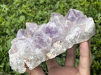 Natural Medium Jacaranda Amethyst Crystal Plate Cluster x 1 From Mumbwa, Zambia