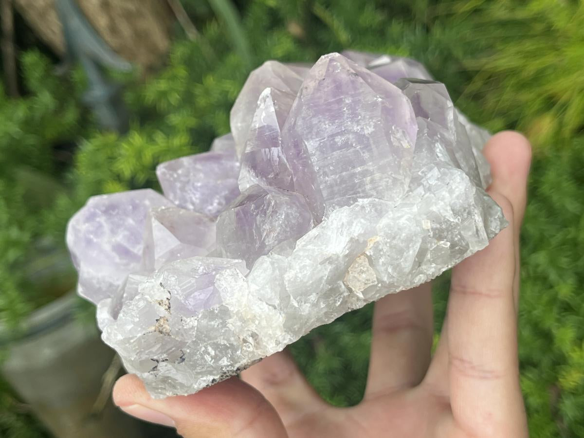 Natural Medium Jacaranda Amethyst Crystal Plate Cluster x 1 From Mumbwa, Zambia