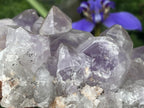 Natural Medium Jacaranda Amethyst Crystal Plate Cluster x 1 From Mumbwa, Zambia