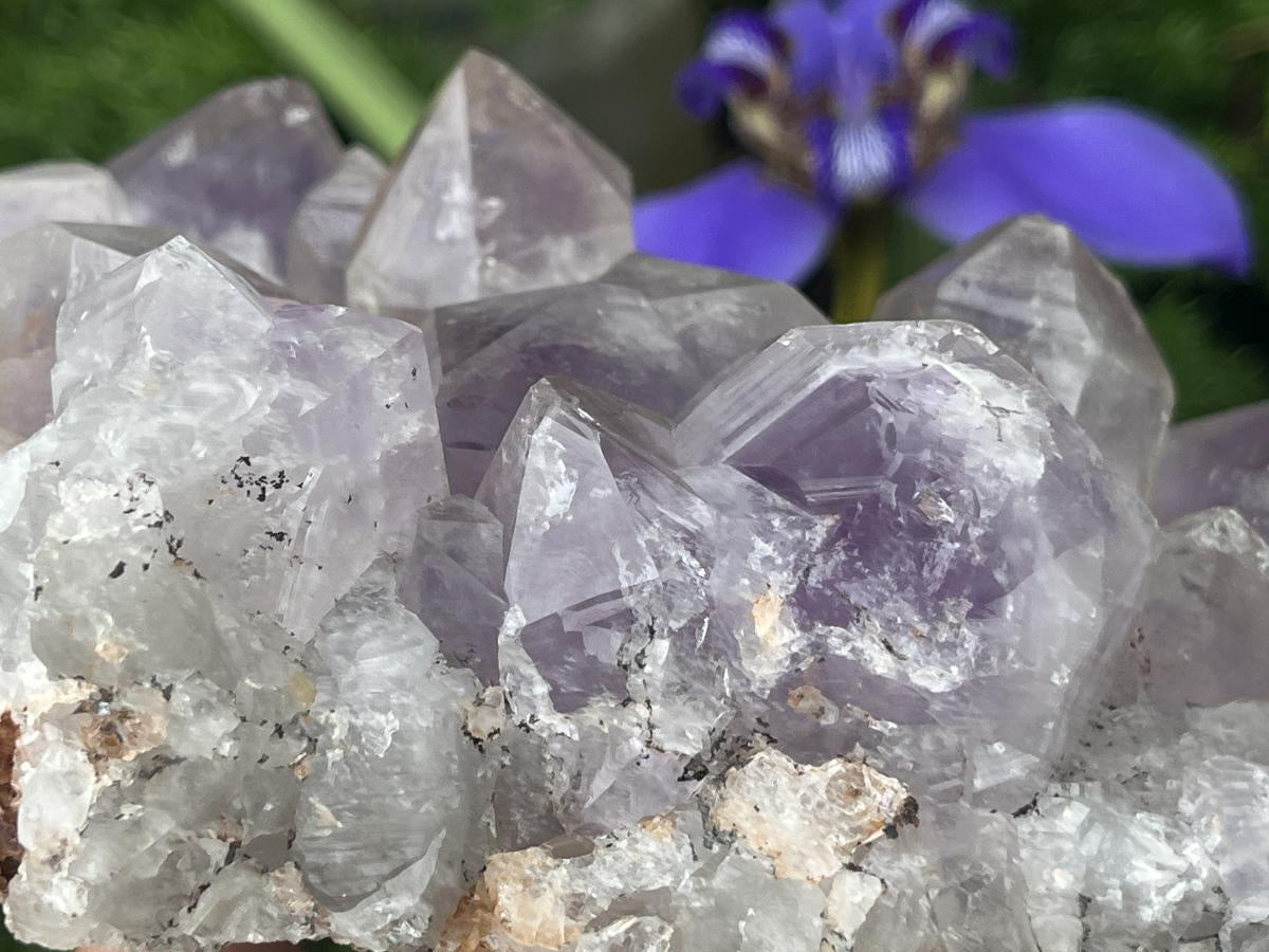 Natural Medium Jacaranda Amethyst Crystal Plate Cluster x 1 From Mumbwa, Zambia
