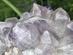 Natural Medium Jacaranda Amethyst Crystal Plate Cluster x 1 From Mumbwa, Zambia