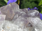 Natural Medium Jacaranda Amethyst Crystal Plate Cluster x 1 From Mumbwa, Zambia