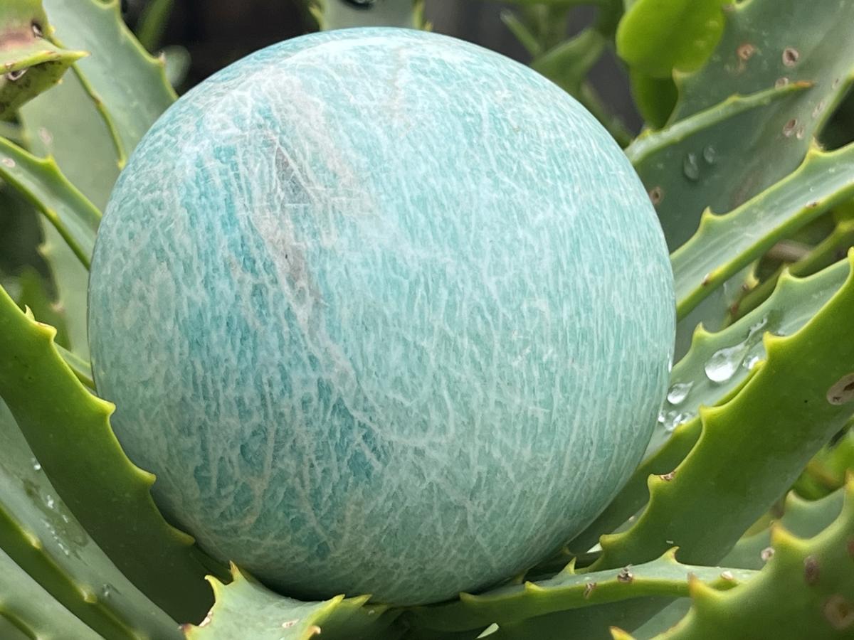 Polished Medium Amazonite Sphere x 1 From Zimbabwe
