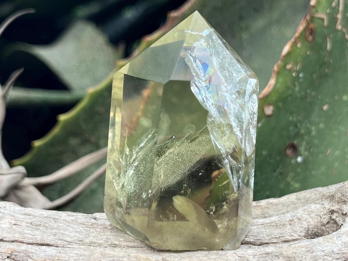 Polished Lemon Citrine Crystal x 1 From Madagascar