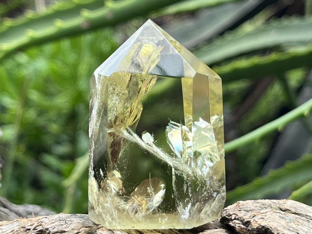 Polished Lemon Citrine Crystal x 1 From Madagascar