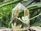 Polished Lemon Citrine Crystal x 1 From Madagascar