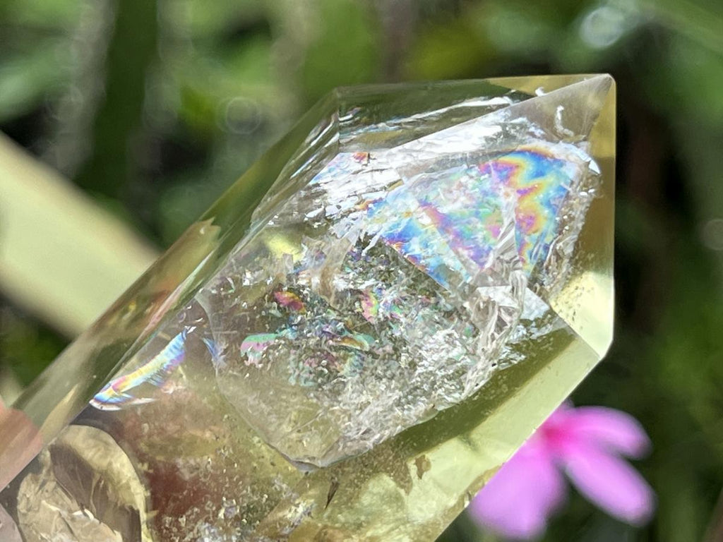 Polished Lemon Citrine Crystal x 1 From Madagascar