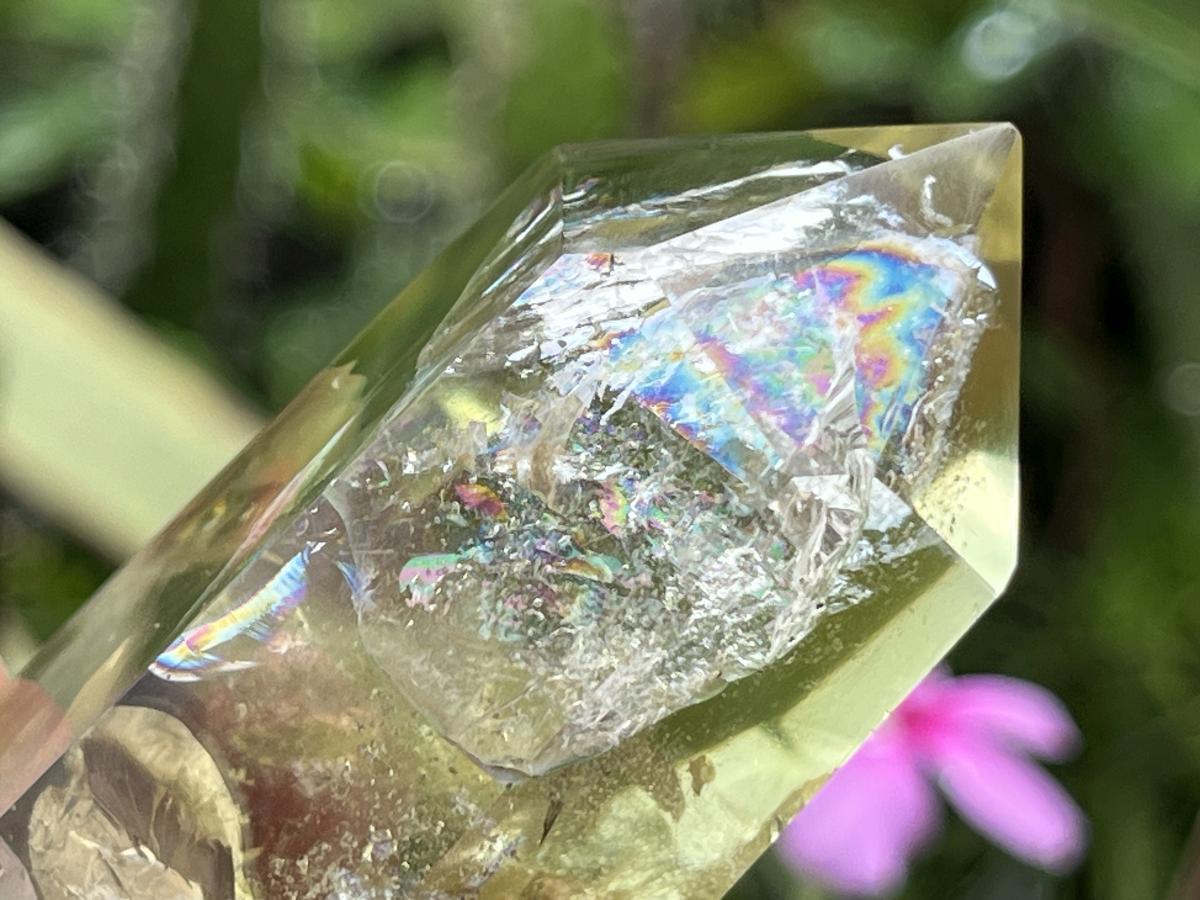 Polished Lemon Citrine Crystal x 1 From Madagascar