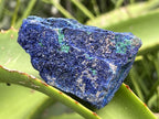 Natural Azurite Drusy Crystalline Specimen x 1 From Jakka Mine, Congo