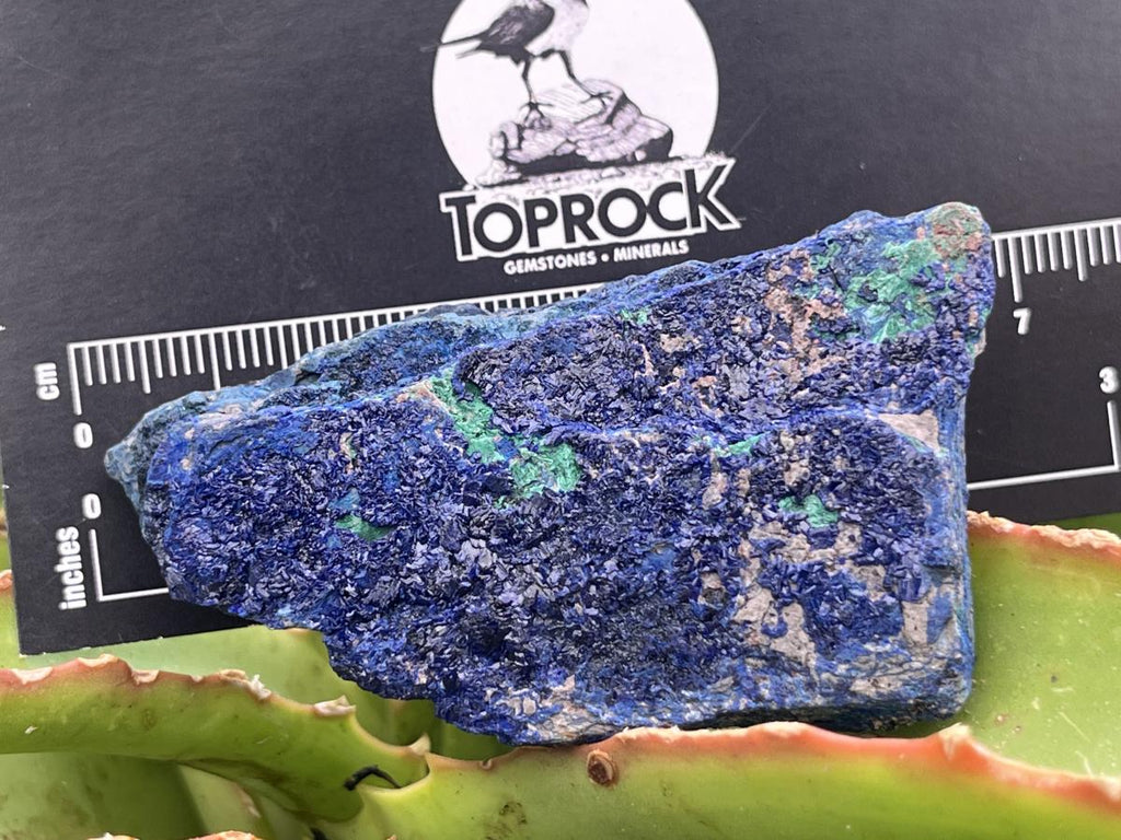 Natural Azurite Drusy Crystalline Specimen x 1 From Jakka Mine, Congo