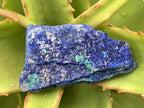 Natural Azurite Drusy Crystalline Specimen x 1 From Jakka Mine, Congo