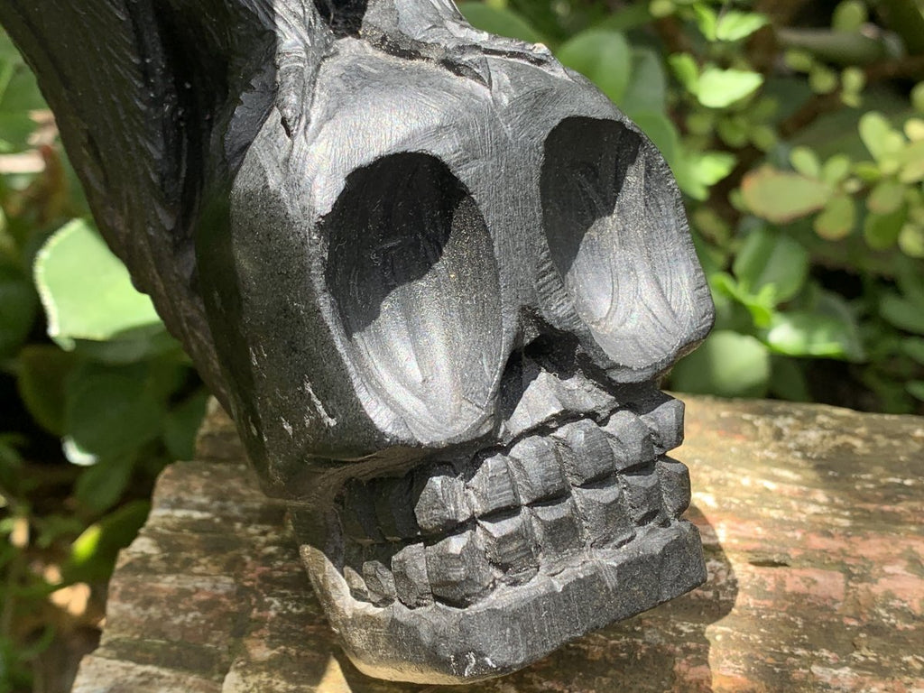 Hand Made Black Soapstone Raven on Skull Carving x 1 From Zimbabwe