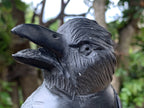Hand Made Black Soapstone Raven on Skull Carving x 1 From Zimbabwe