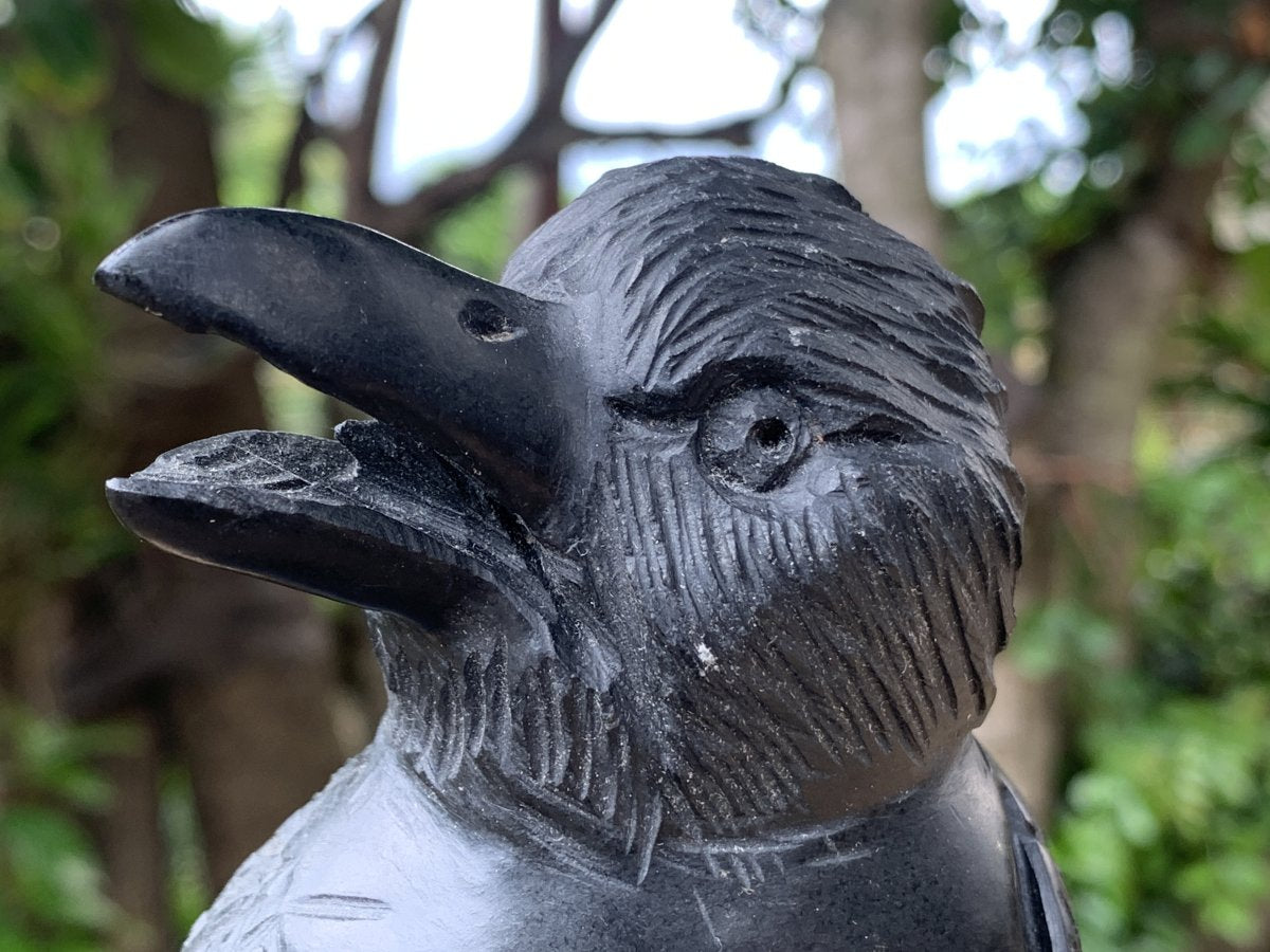 Hand Made Black Soapstone Raven on Skull Carving x 1 From Zimbabwe