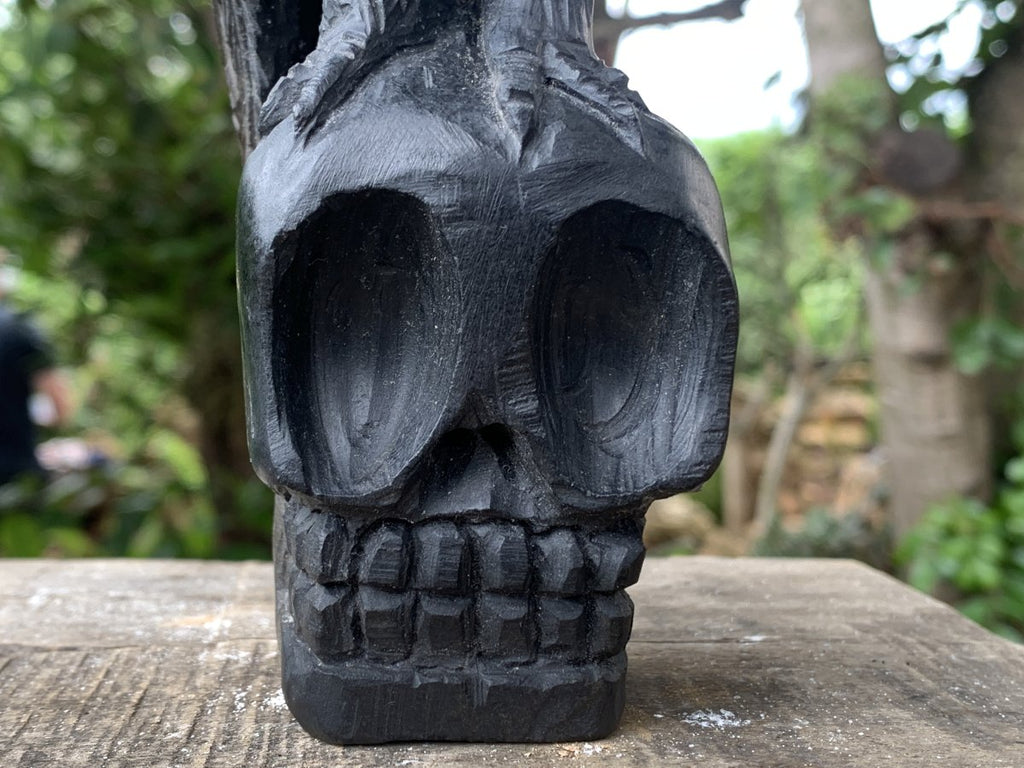 Hand Made Black Soapstone Raven on Skull Carving x 1 From Zimbabwe