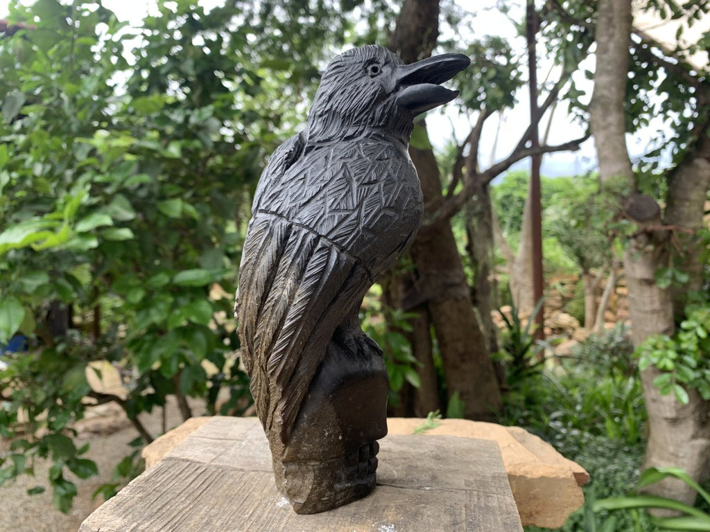 Hand Made Black Soapstone Raven on Skull Carving x 1 From Zimbabwe