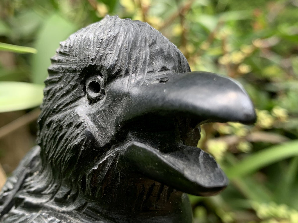 Hand Made Black Soapstone Raven on Skull Carving x 1 From Zimbabwe