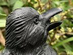 Hand Made Black Soapstone Raven on Skull Carving x 1 From Zimbabwe
