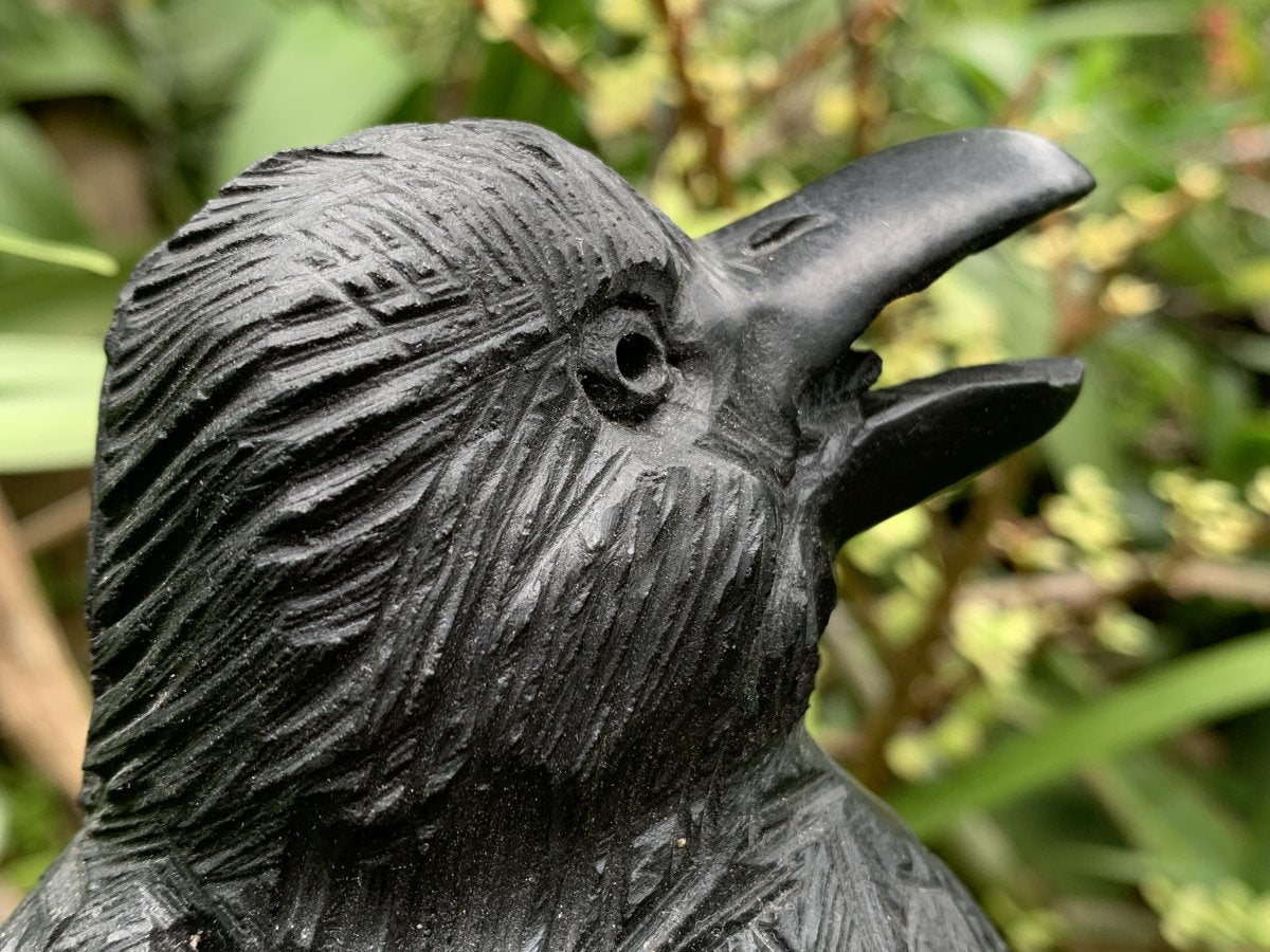 Hand Made Black Soapstone Raven on Skull Carving x 1 From Zimbabwe