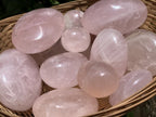 Polished Rose Quartz Palm Stone Basket Bouquet x 1 From Ambatondrazaka, Madagascar