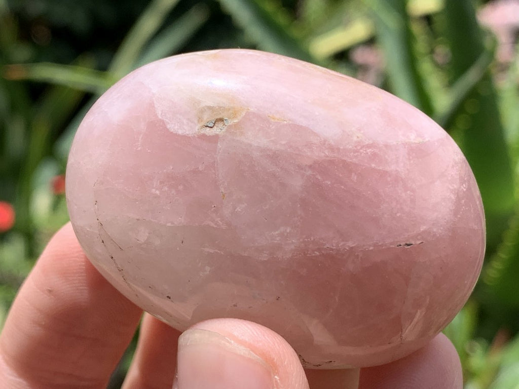 Polished Rose Quartz Palm Stone Basket Bouquet x 1 From Ambatondrazaka, Madagascar