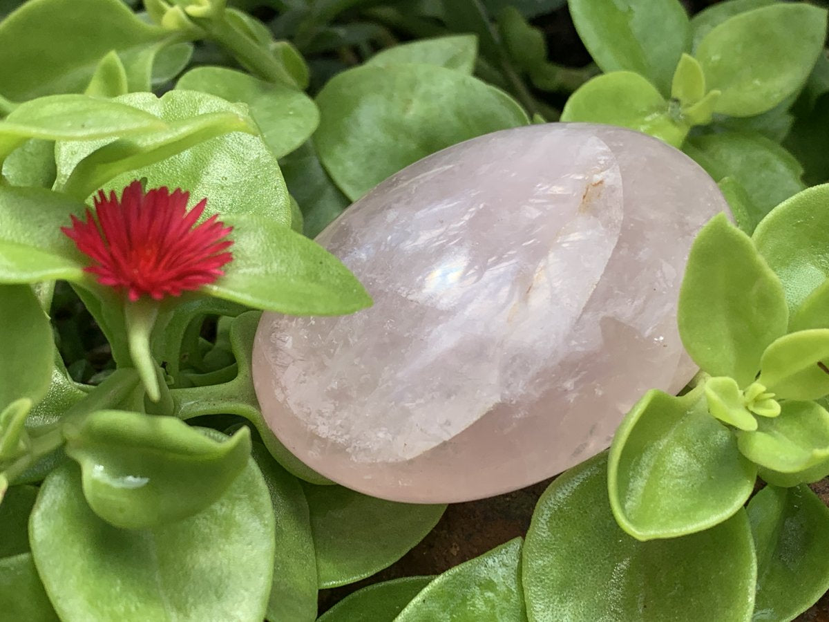 Polished Rose Quartz Palm Stone Basket Bouquet x 1 From Ambatondrazaka, Madagascar