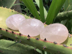 Polished Rose Quartz Palm Stone Basket Bouquet x 1 From Ambatondrazaka, Madagascar