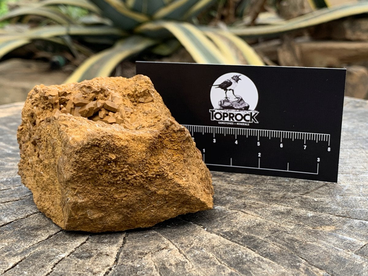 Natural Ocean Jasper Crystal Specimen x 1 From Madagascar