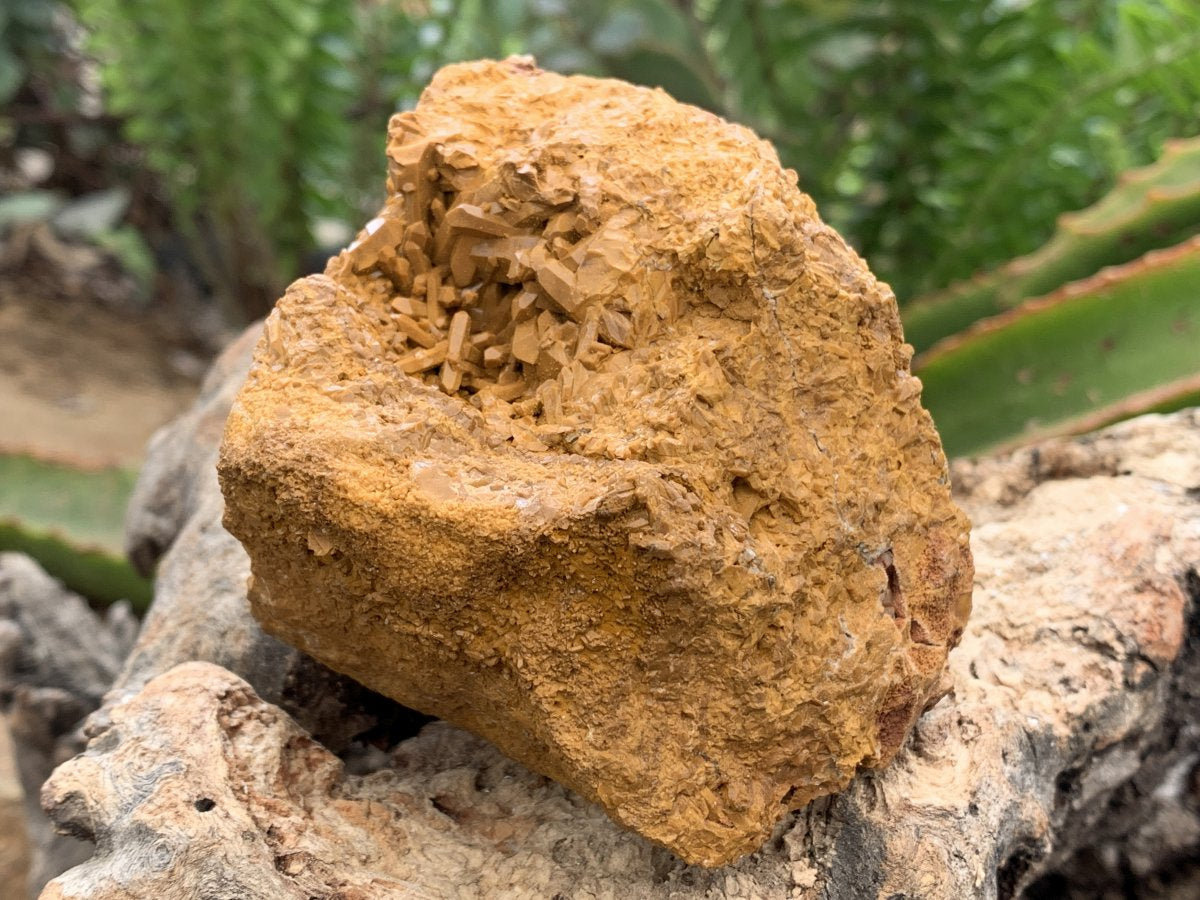 Natural Ocean Jasper Crystal Specimen x 1 From Madagascar