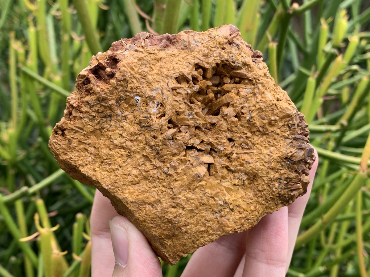 Natural Ocean Jasper Crystal Specimen x 1 From Madagascar