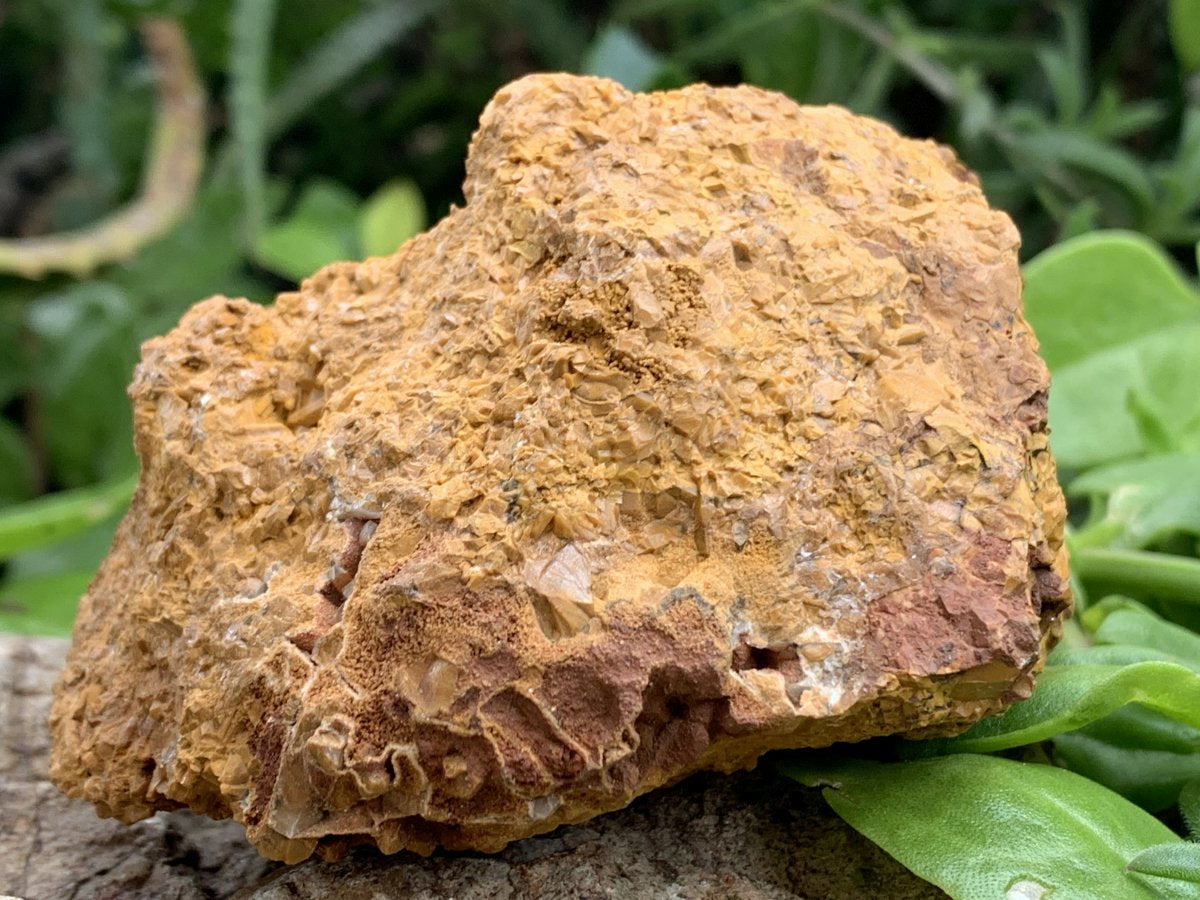 Natural Ocean Jasper Crystal Specimen x 1 From Madagascar