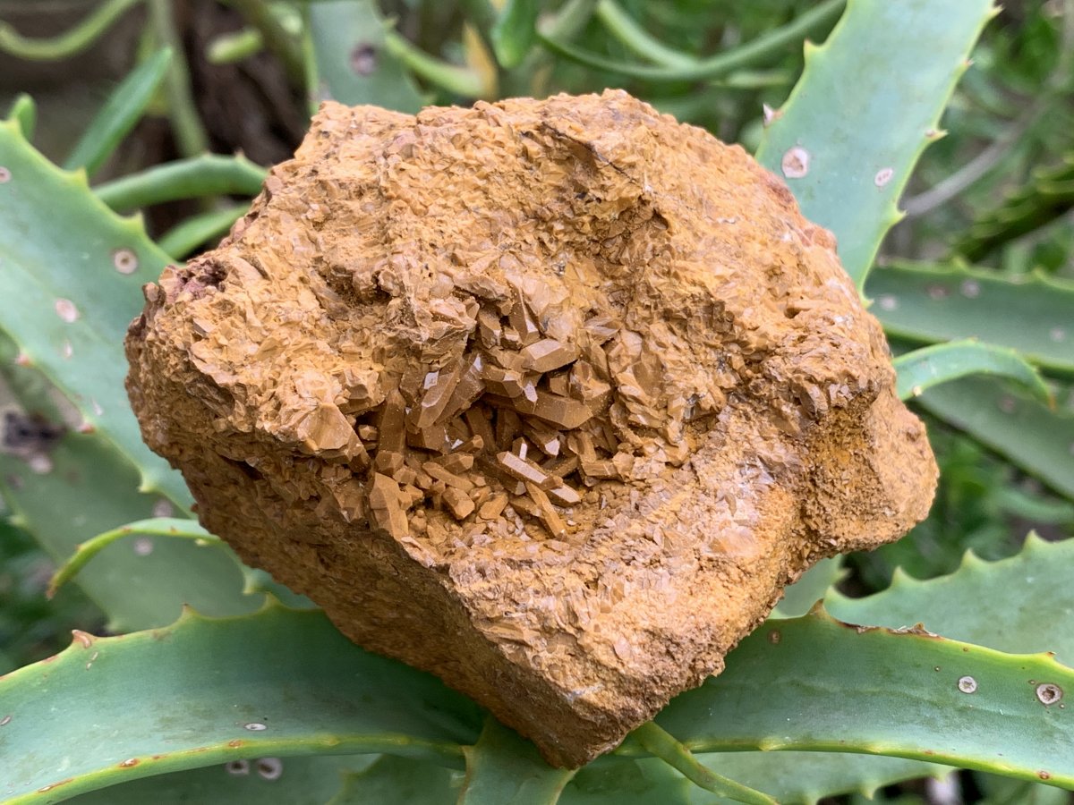 Natural Ocean Jasper Crystal Specimen x 1 From Madagascar
