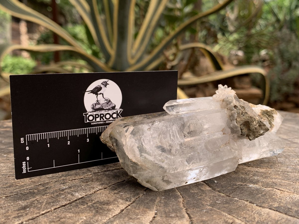 Natural Clear Multi-Terminated Quartz Crystal Specimen x 1 From Brandberg, Namibia