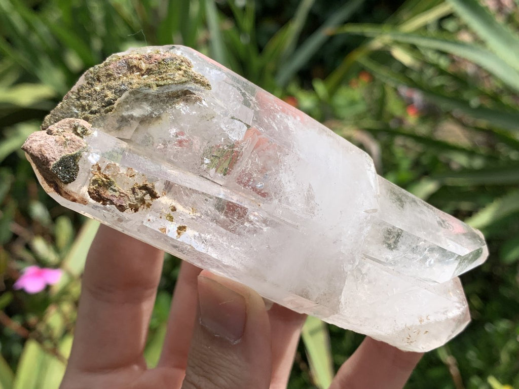 Natural Clear Multi-Terminated Quartz Crystal Specimen x 1 From Brandberg, Namibia