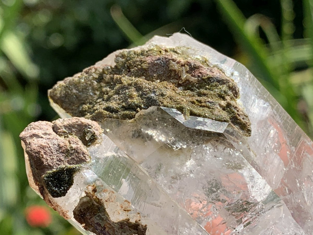 Natural Clear Multi-Terminated Quartz Crystal Specimen x 1 From Brandberg, Namibia