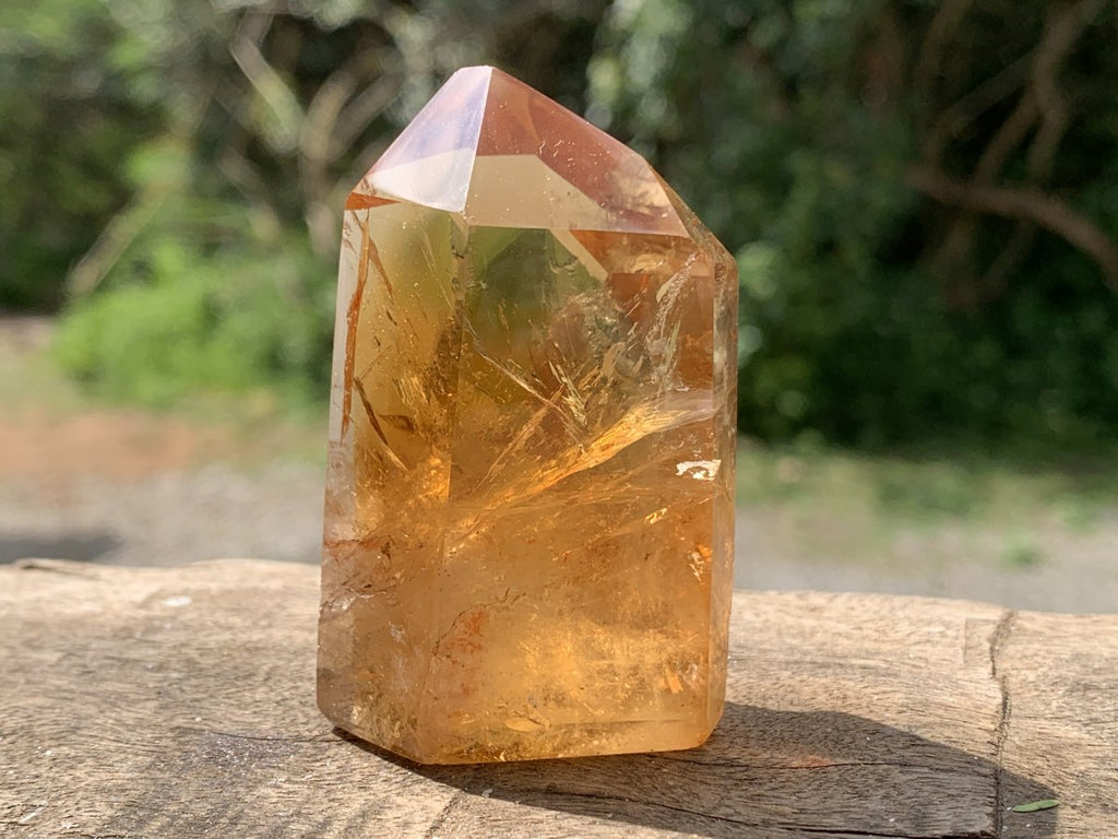 Polished Deep Yellow Citrine Crystal x 1 From Madagascar