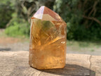 Polished Deep Yellow Citrine Crystal x 1 From Madagascar