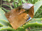 Polished Deep Yellow Citrine Crystal x 1 From Madagascar