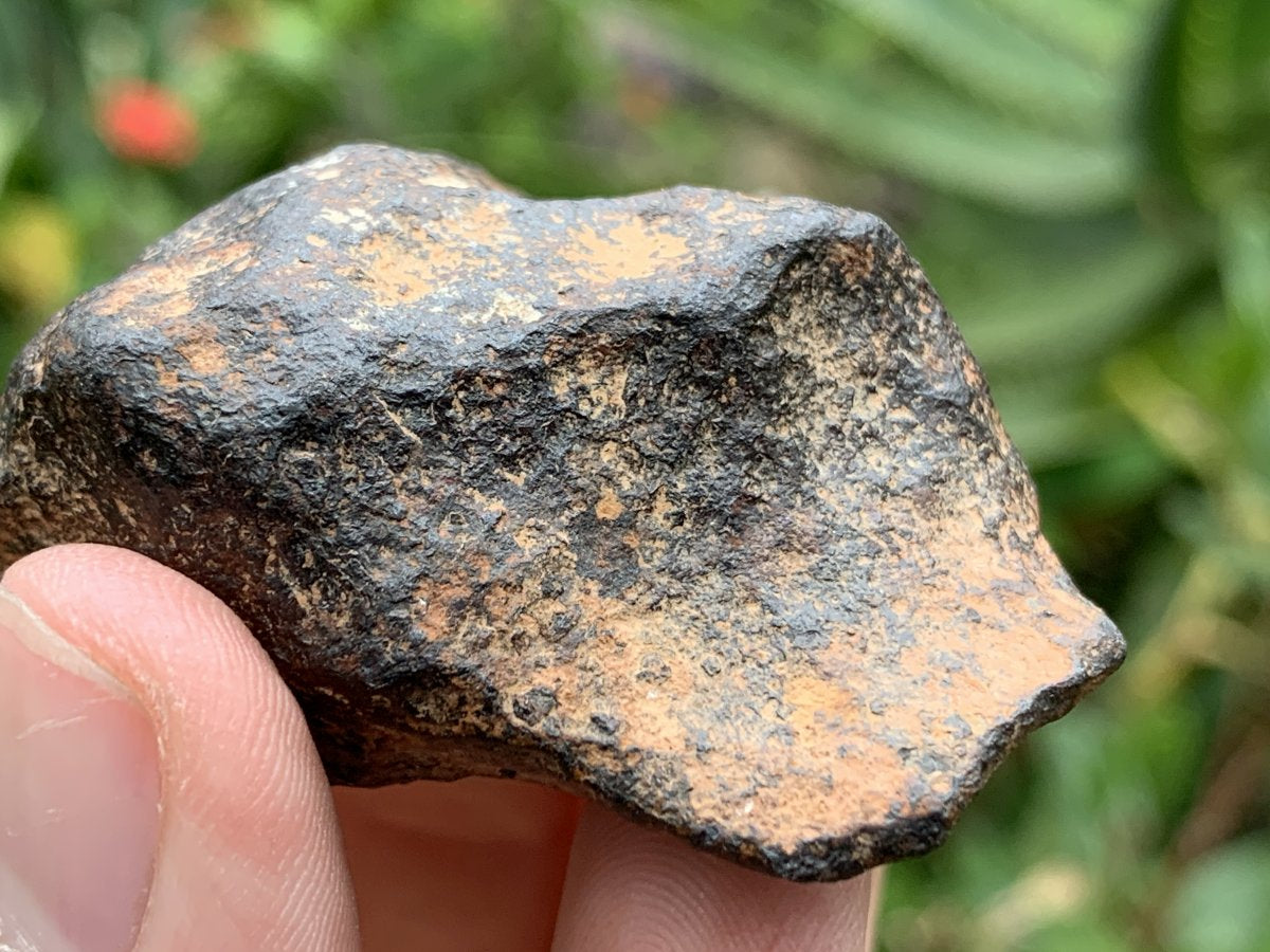 Natural Ultra Rare Small Gibeon Meteorite Specimen x 1 From Gibeon, Namibia