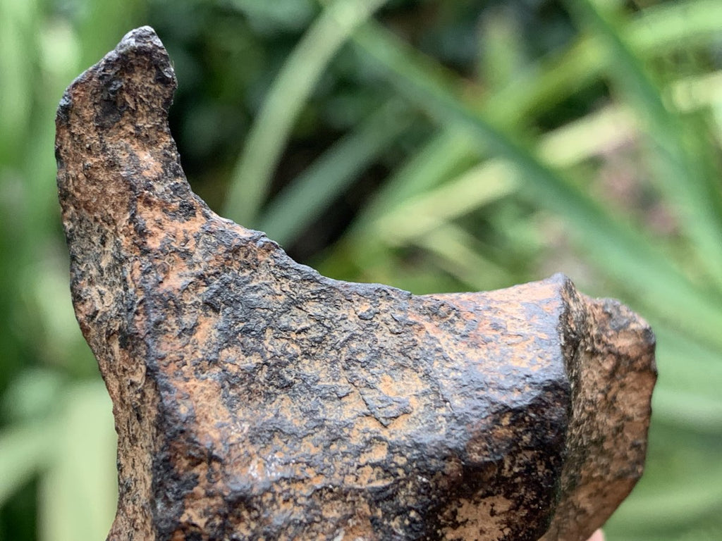 Natural Ultra Rare Small Gibeon Meteorite Specimen x 1 From Gibeon, Namibia