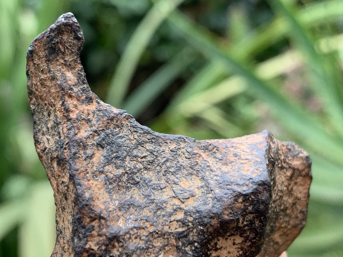 Natural Ultra Rare Small Gibeon Meteorite Specimen x 1 From Gibeon, Namibia