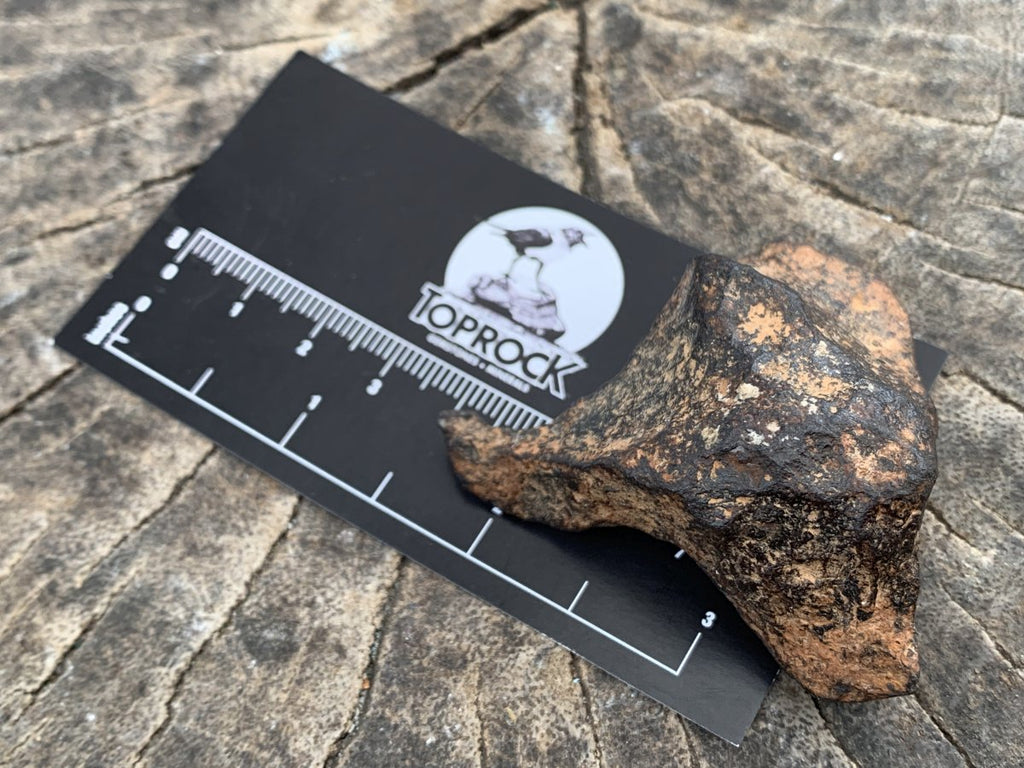 Natural Ultra Rare Small Gibeon Meteorite Specimen x 1 From Gibeon, Namibia