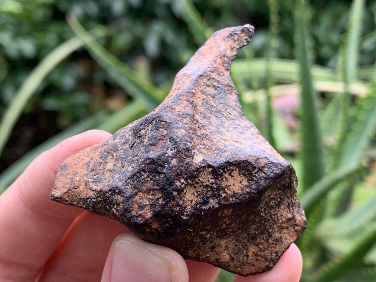 Natural Ultra Rare Small Gibeon Meteorite Specimen x 1 From Gibeon, Namibia