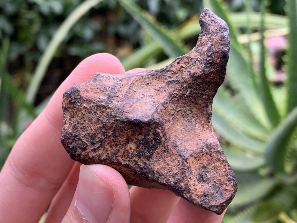 Natural Ultra Rare Small Gibeon Meteorite Specimen x 1 From Gibeon, Namibia