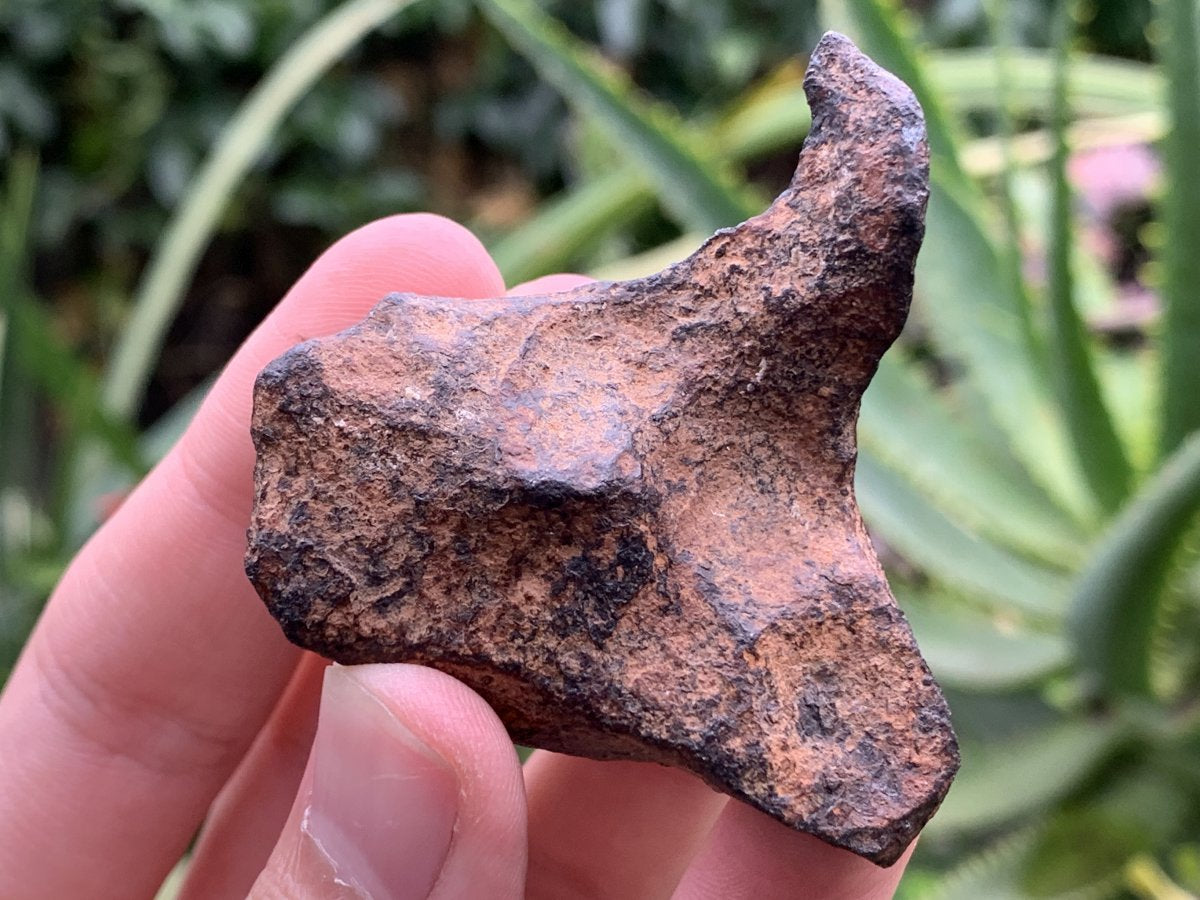 Natural Ultra Rare Small Gibeon Meteorite Specimen x 1 From Gibeon, Namibia