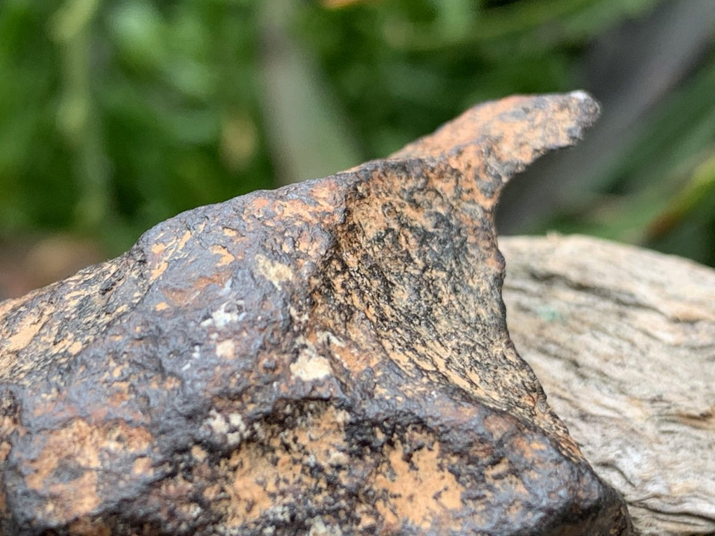 Natural Ultra Rare Small Gibeon Meteorite Specimen x 1 From Gibeon, Namibia