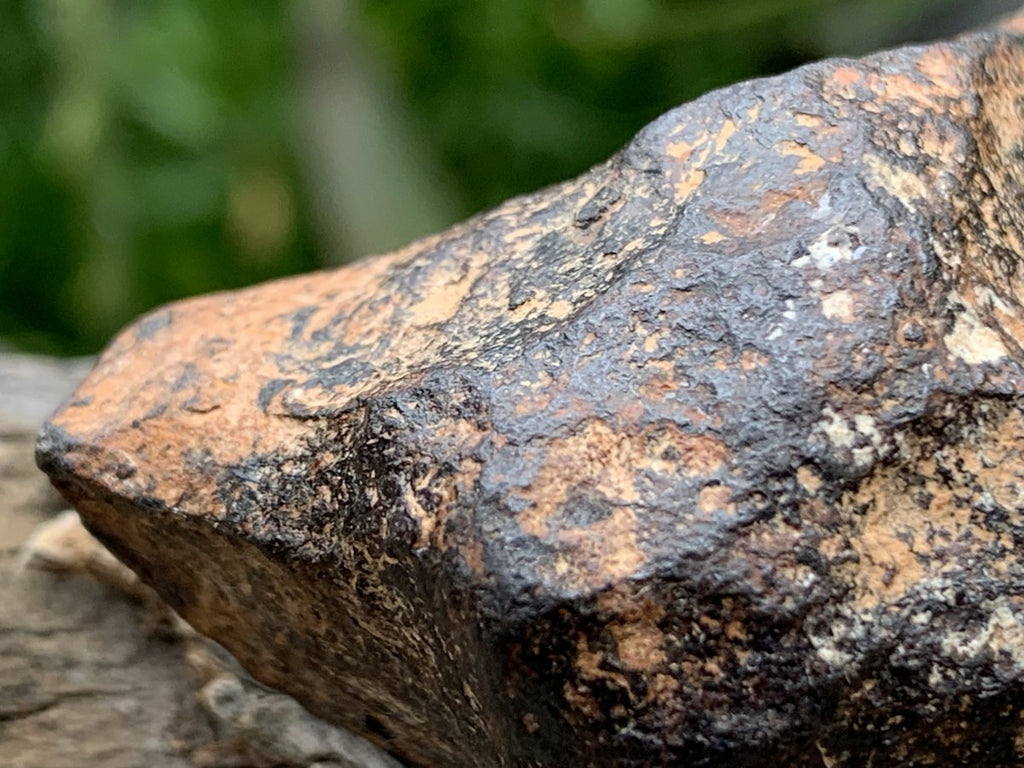 Natural Ultra Rare Small Gibeon Meteorite Specimen x 1 From Gibeon, Namibia