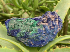 Natural Azurite Drusy Crystalline Specimen with Malachite x 1 From Jakka Mine, Congo