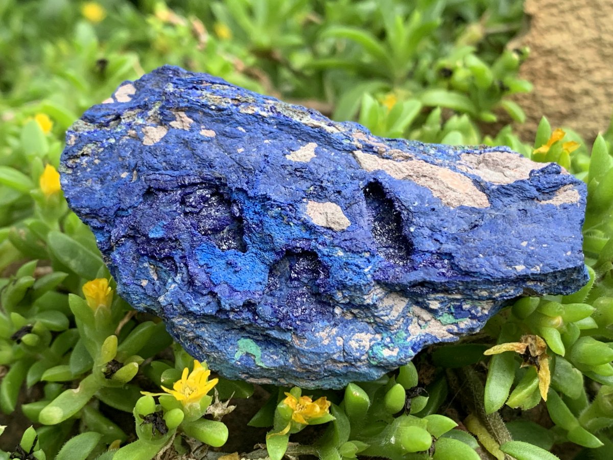 Natural Azurite Drusy Crystalline Specimen with Malachite x 1 From Jakka Mine, Congo