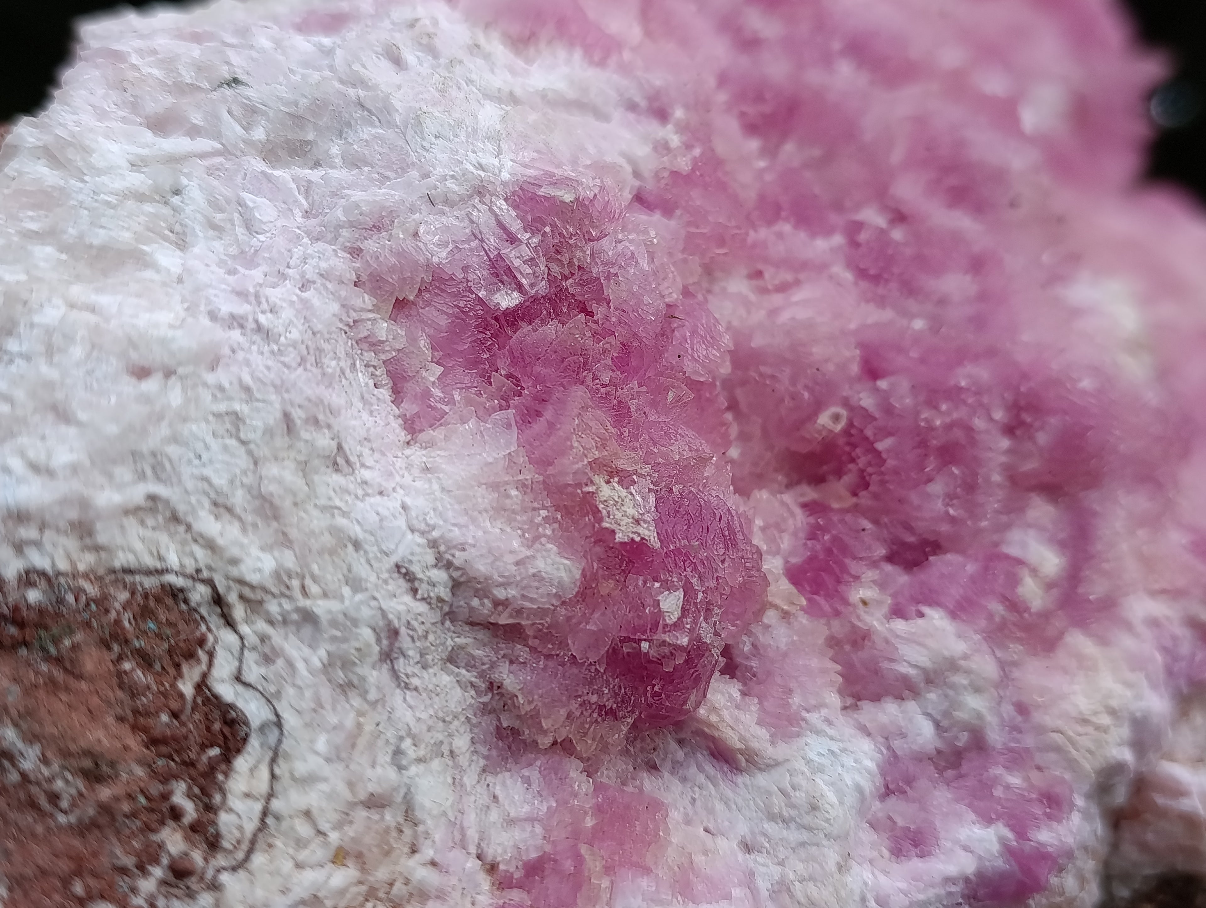 Natural Super Rare XXL Pink Rhodocalcite Specimen x 1 From Mashamba West, Congo